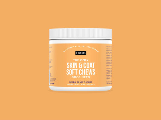 The Only Skin & Coat Soft Chews Dogs Need